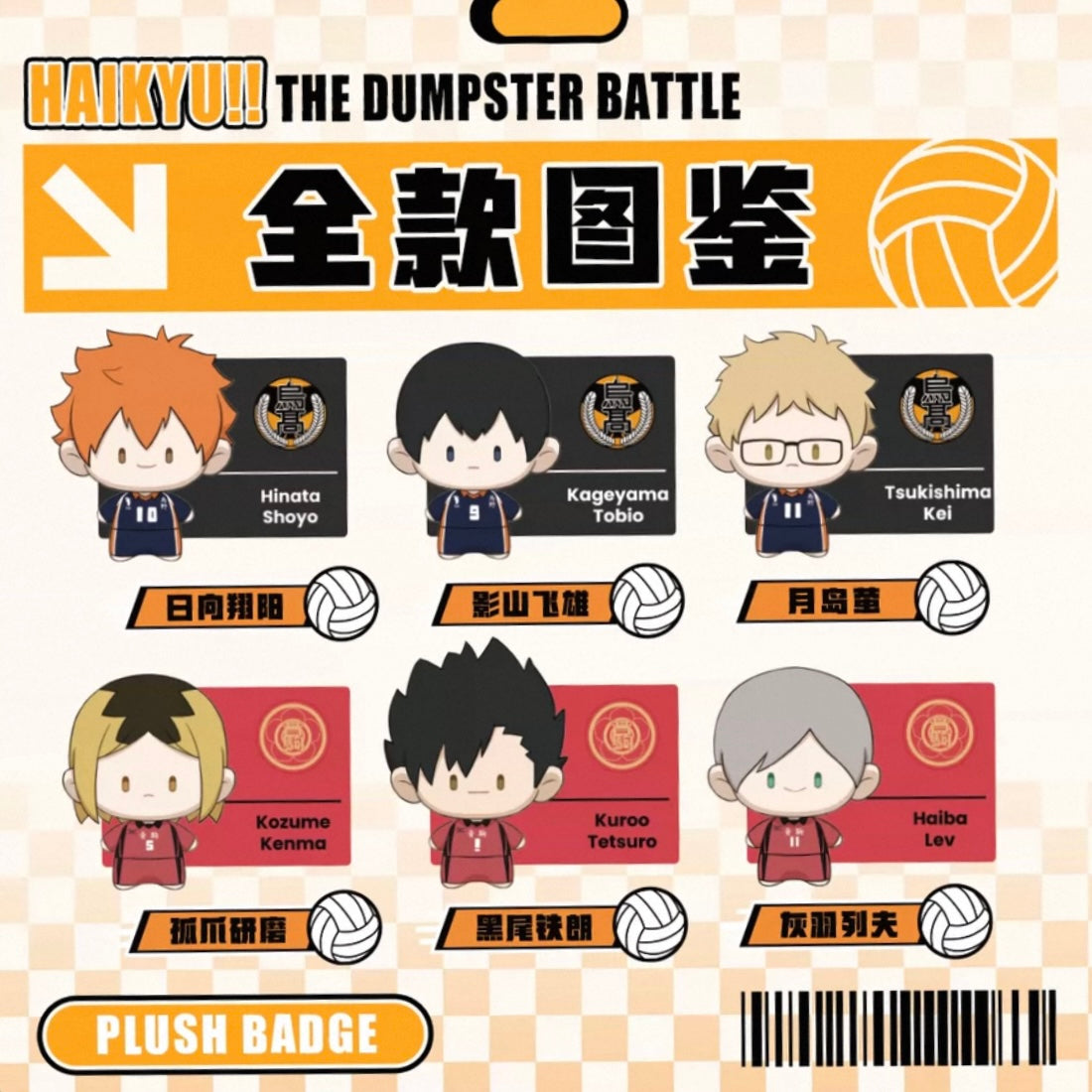 Haikyu!! The Dumpster Battle Plush Pin Blind Box