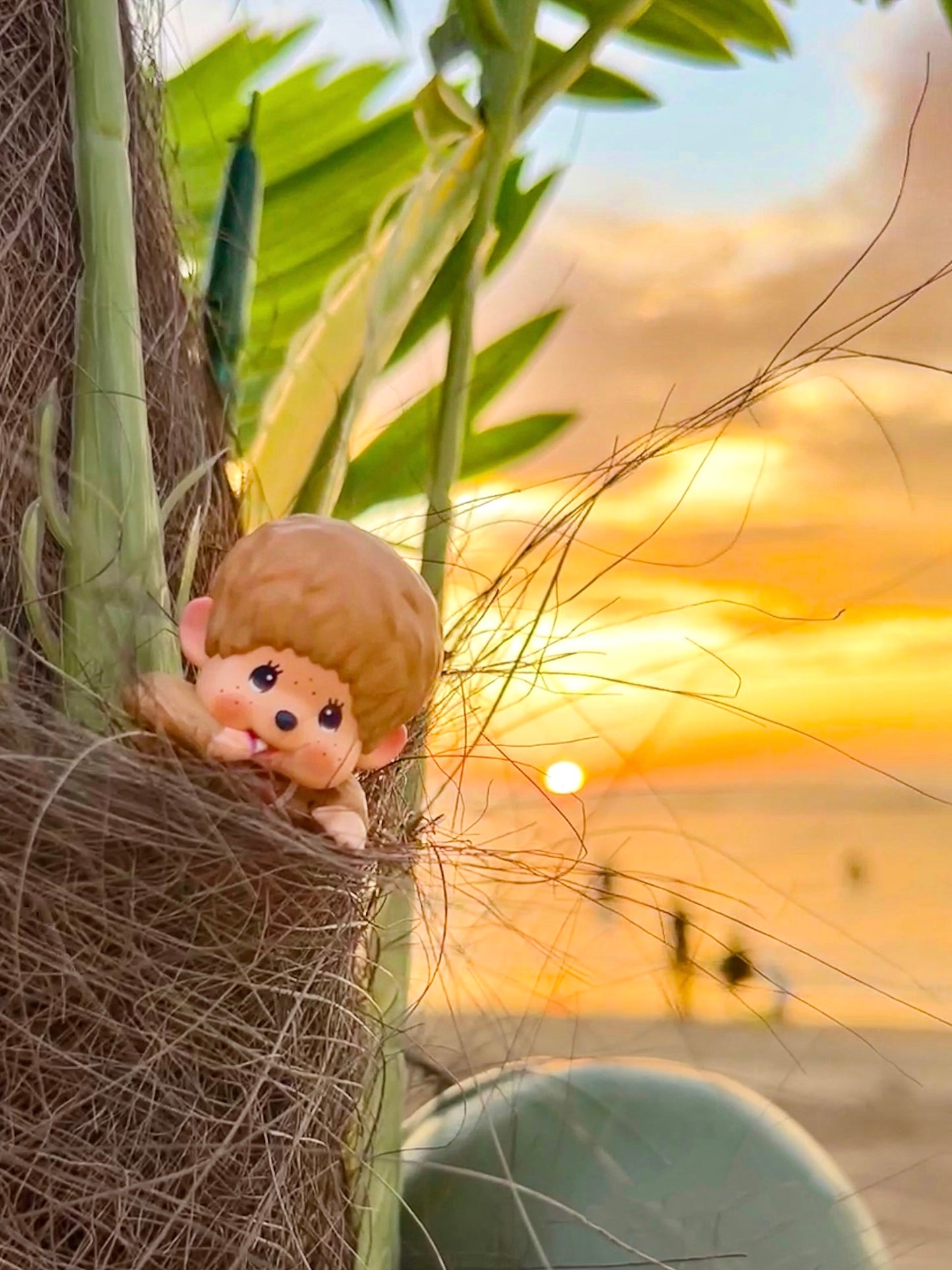 Monchhichi HIPPERS Blind Box